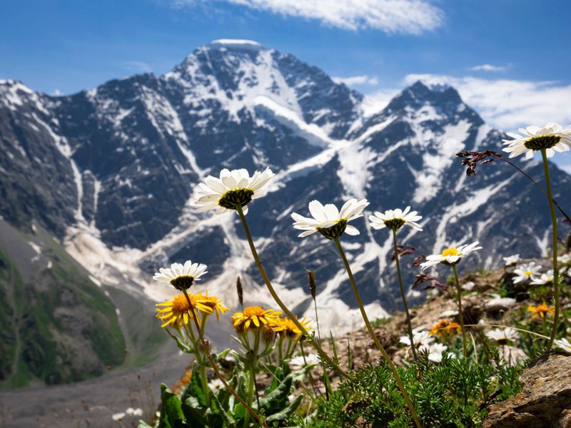 Экскурсии на Эльбрус из Кисловодска - вид на ледник Семерка с горы Чегет